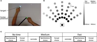 Measuring Habitual Arm Use Post-stroke With a Bilateral Time-Constrained Reaching Task